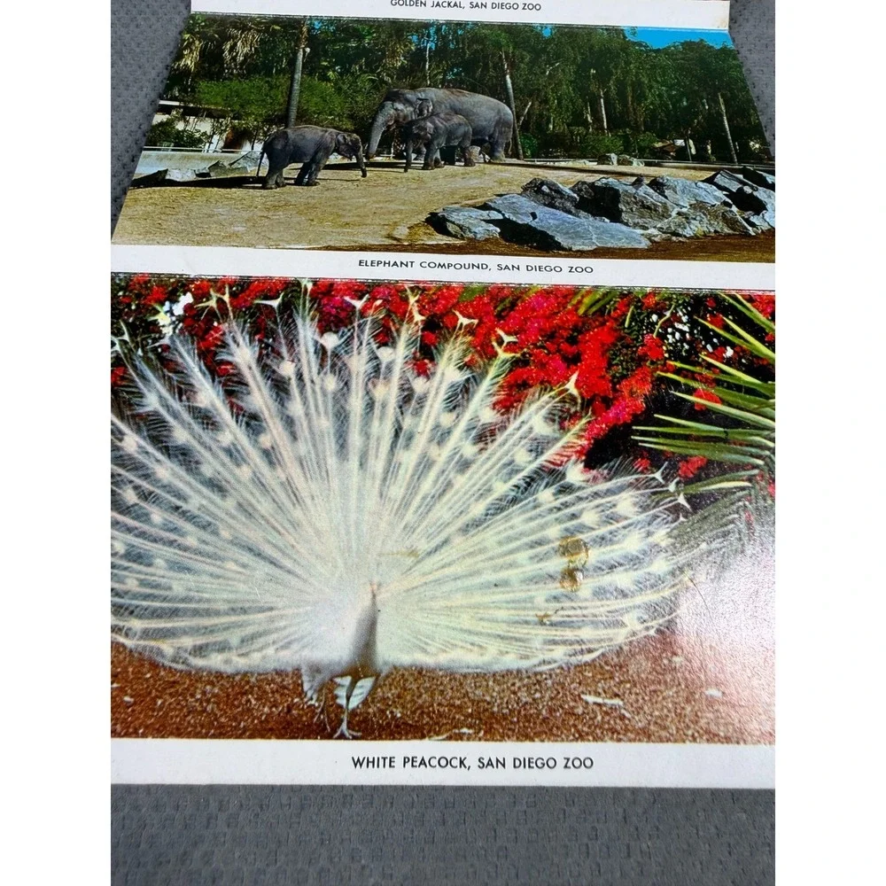 Vintage San Diego Zoo Postcard Folder 12 Views Balboa Park California Curt Teich